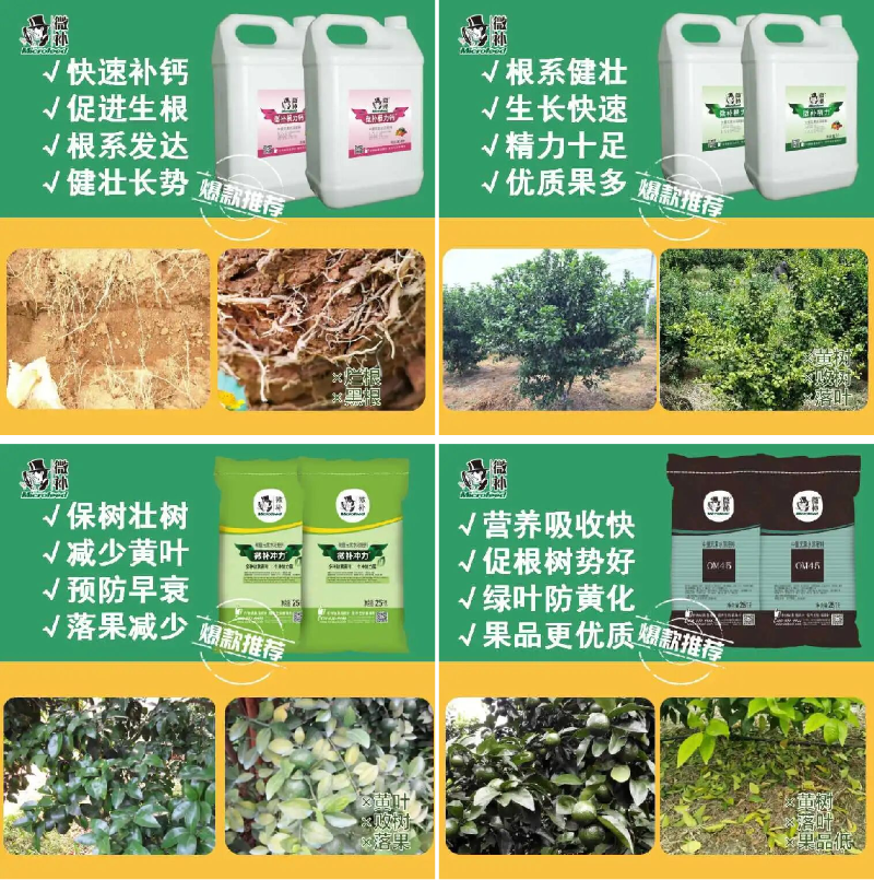 圖片1 圖片1