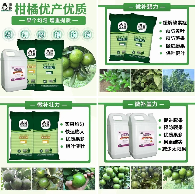 圖片2 圖片2