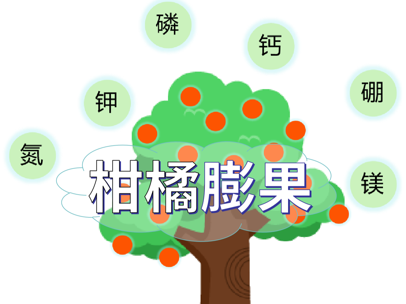 柑橘膨果慢？找準(zhǔn)原因，“對癥下藥”
