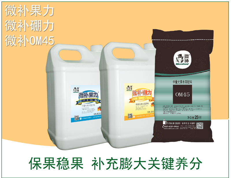 圖片6 圖片6