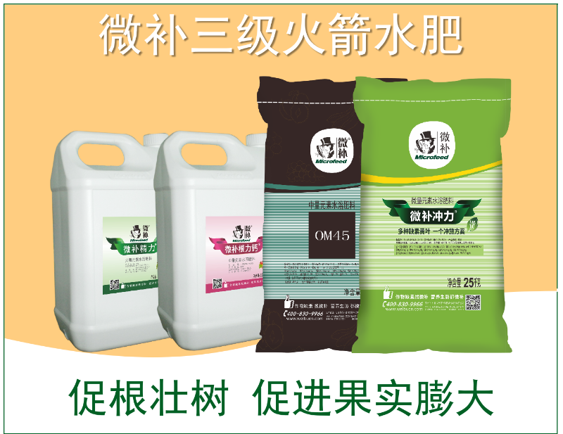 圖片5 圖片5