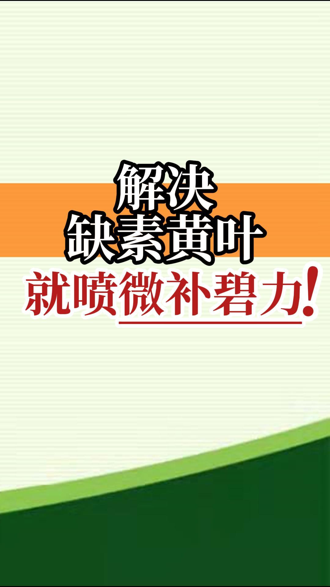 解決缺素黃葉就噴微補(bǔ)碧力！