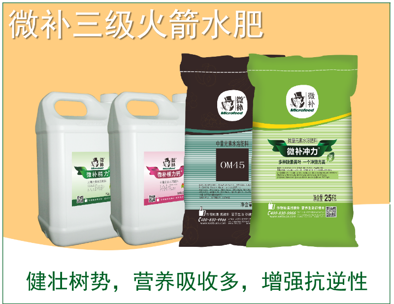 圖片1 圖片1