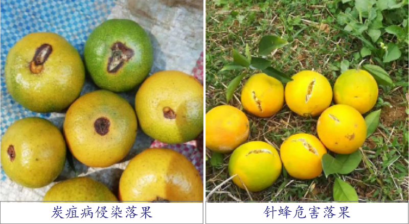 圖片4 圖片4