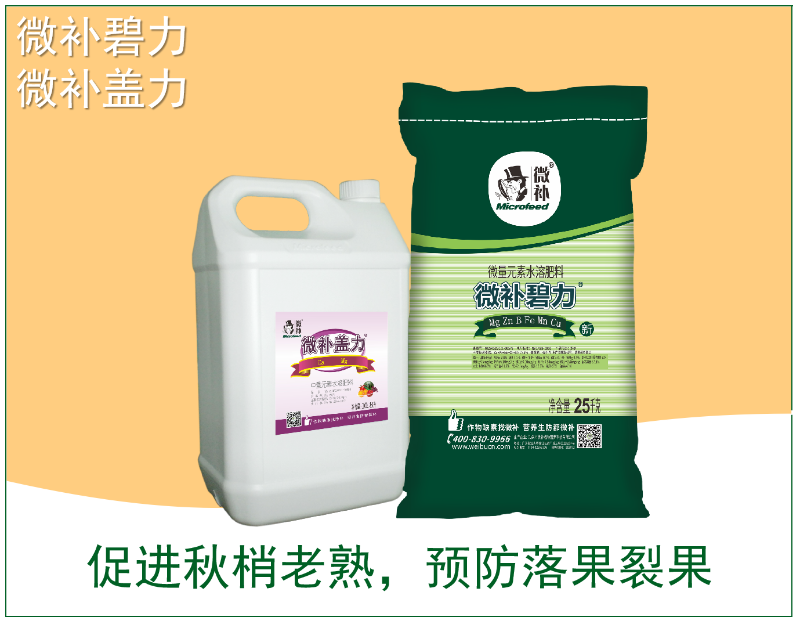 圖片2 圖片2