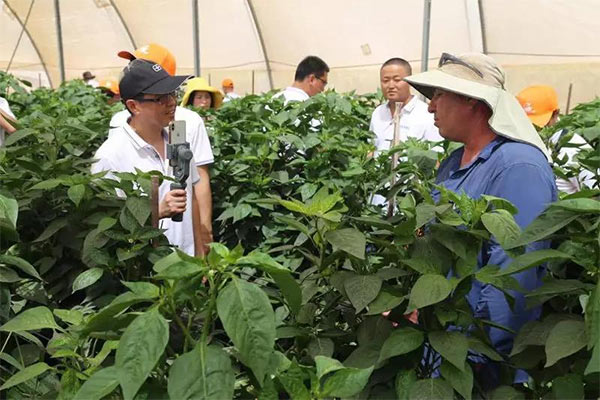 深度思考：我們到底應該向以色列農(nóng)業(yè)學習什么？