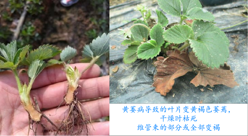 圖片5 圖片5