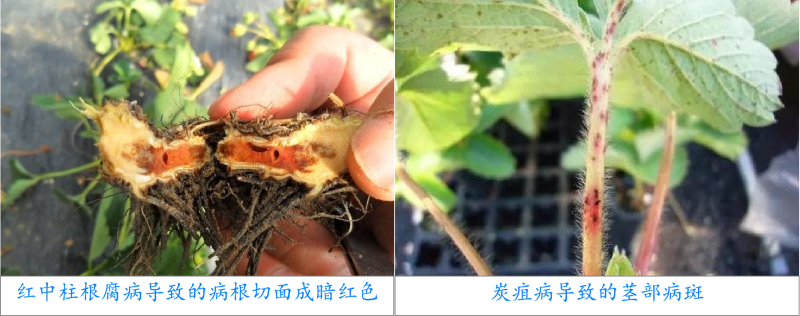 圖片6 圖片6